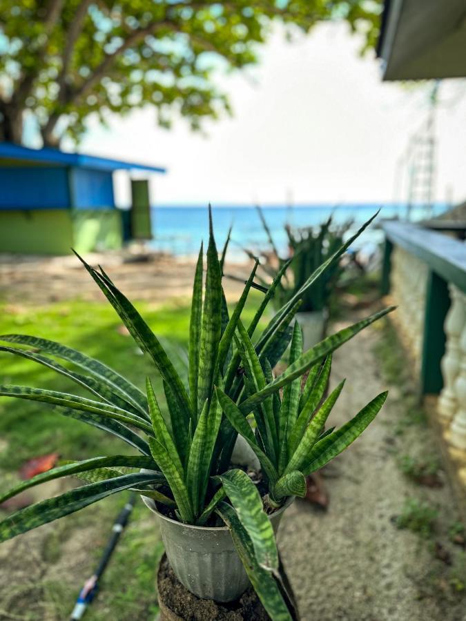 1Peace Beach Resort Anda  Exteriör bild